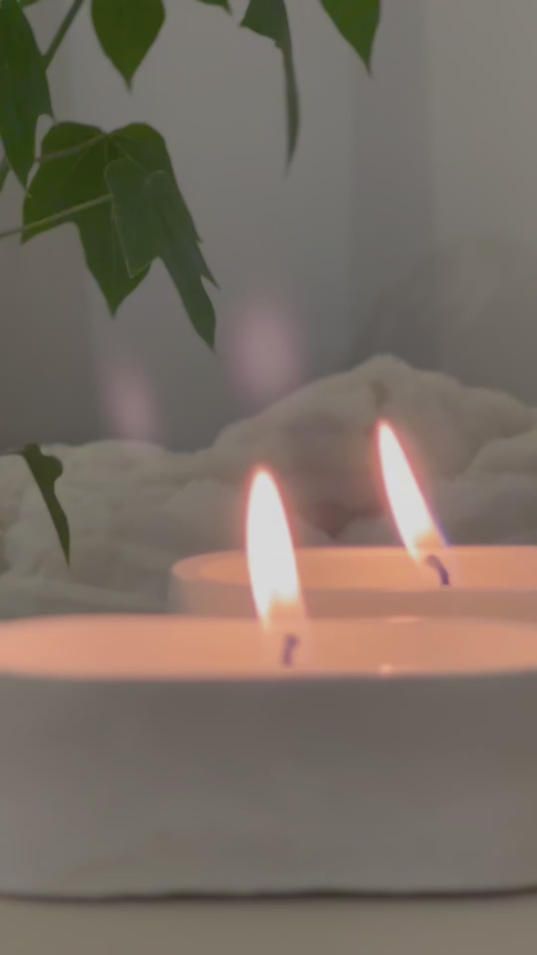 זוג פמוטי גאיה